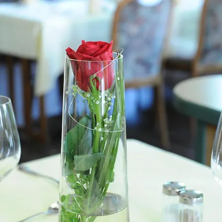 Hotel Hotel Gasthaus Appel Krug